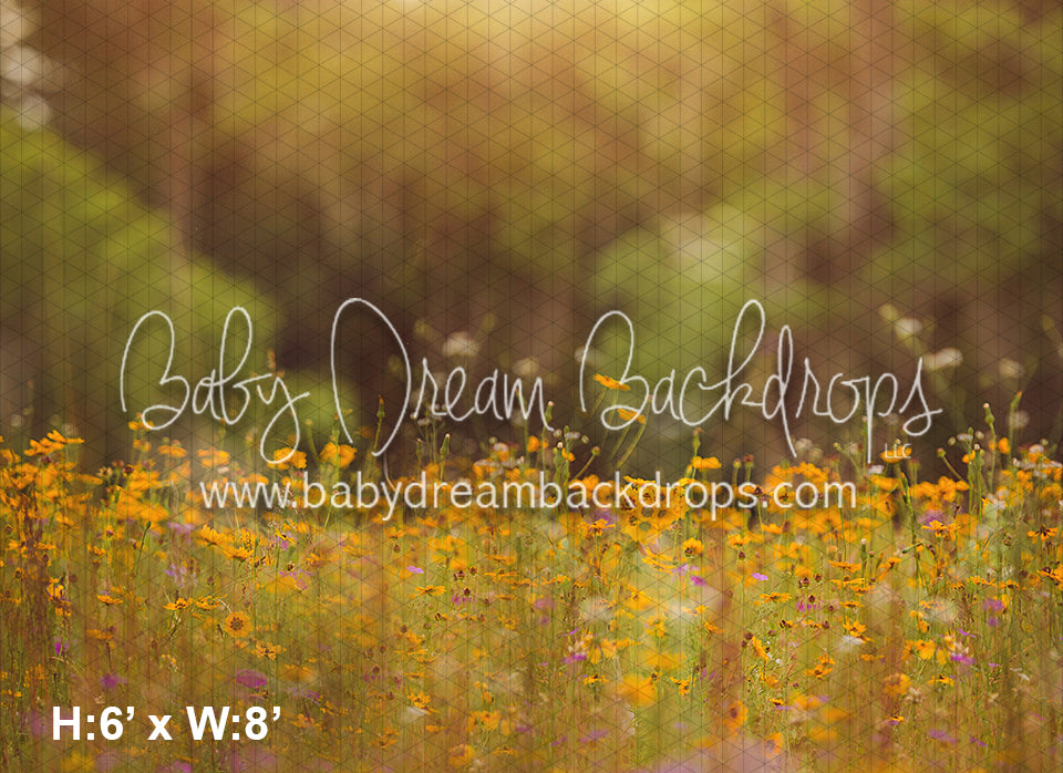 Wild Flower Field (BD)