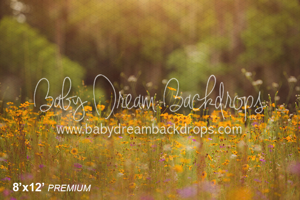 Wild Flower Field (BD)