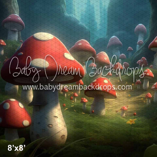 Wild Mushroom Kingdrom (KS)