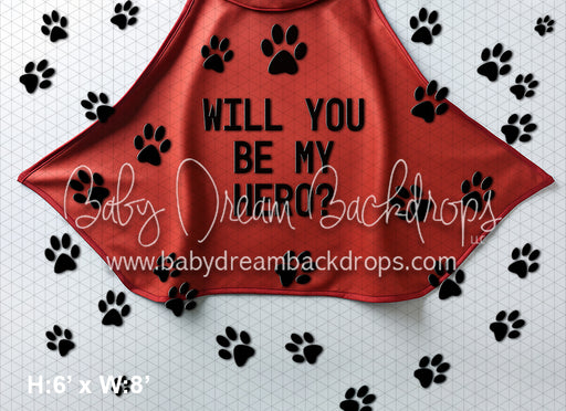 Will You Be My Hero (AZ)