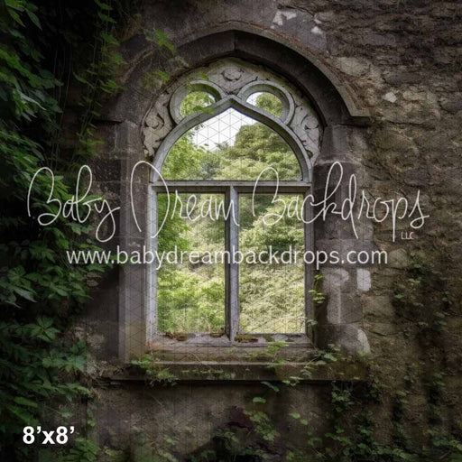 Window with Greenery (KS)