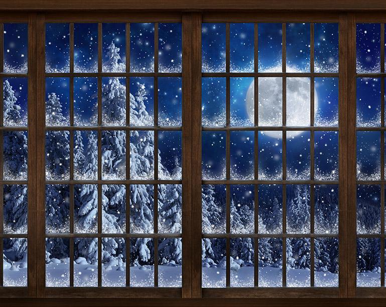 Window to Winter
