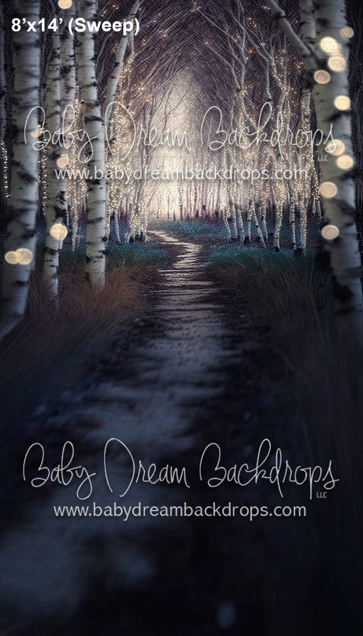 Winter Birch Walkway (SM)