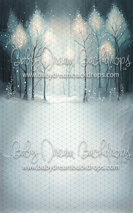 Winter Enchantment Sweep (MD)