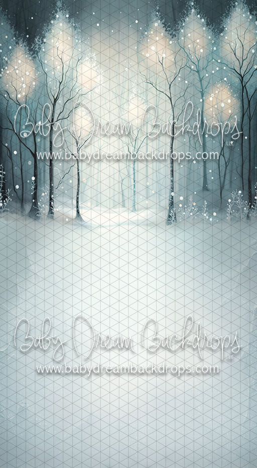 Winter Enchantment Sweep (MD)