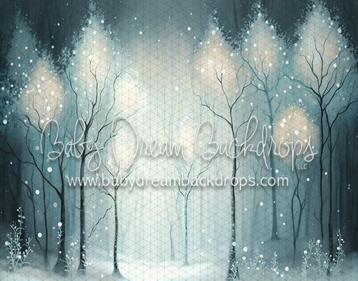 Winter Enchantment (MD)