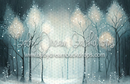 Winter Enchantment (MD)