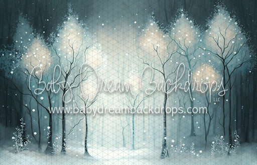 Winter Enchantment (MD)