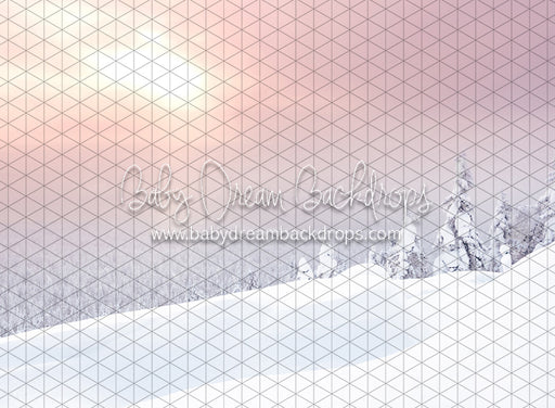 Winter Morning Glow (CC)