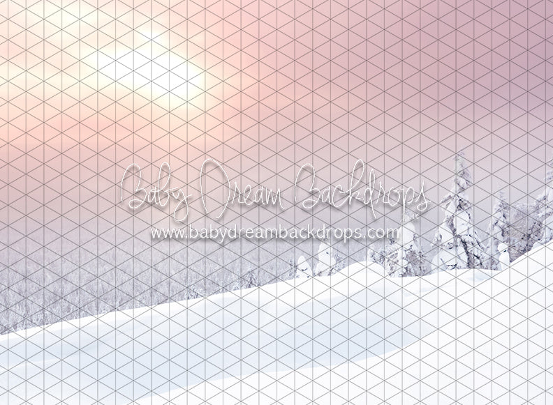 Winter Morning Glow (CC)