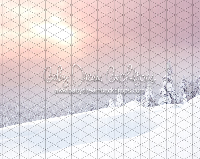 Winter Morning Glow (CC)