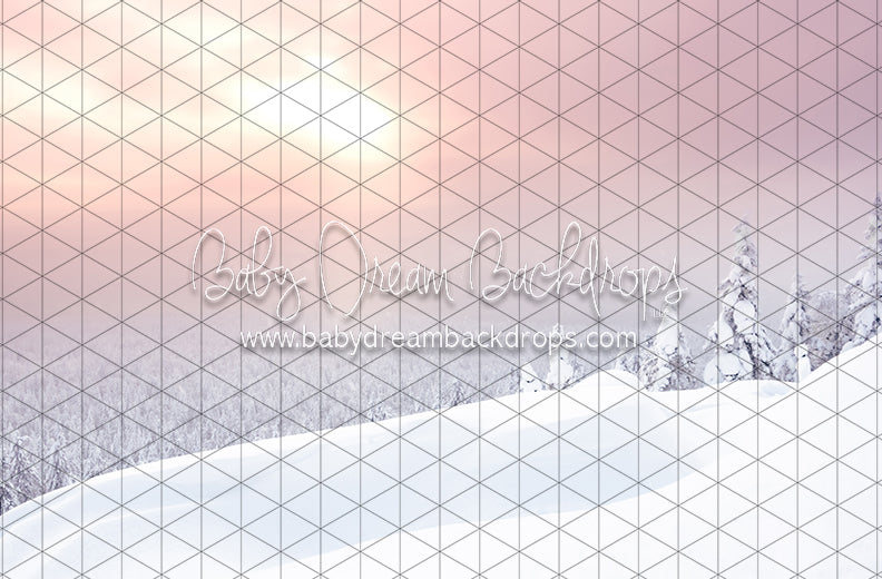 Winter Morning Glow (CC)