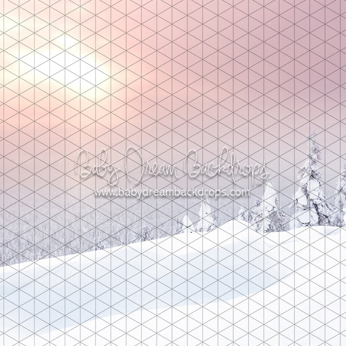 Winter Morning Glow (CC)