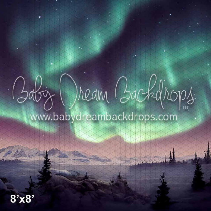 Winter Northern Lights (KS)