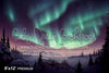 Winter Northern Lights (KS)