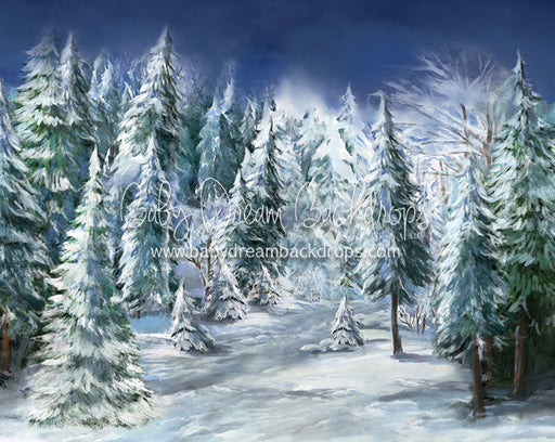 Winter Trail 