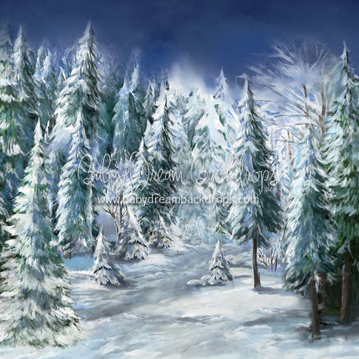 Winter Trail 