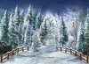 Winter Trail Fence