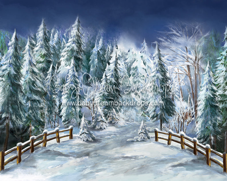 Winter Trail Fence