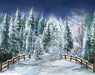 Winter Trail Fence