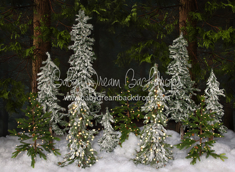 Winter Trees (Lights)