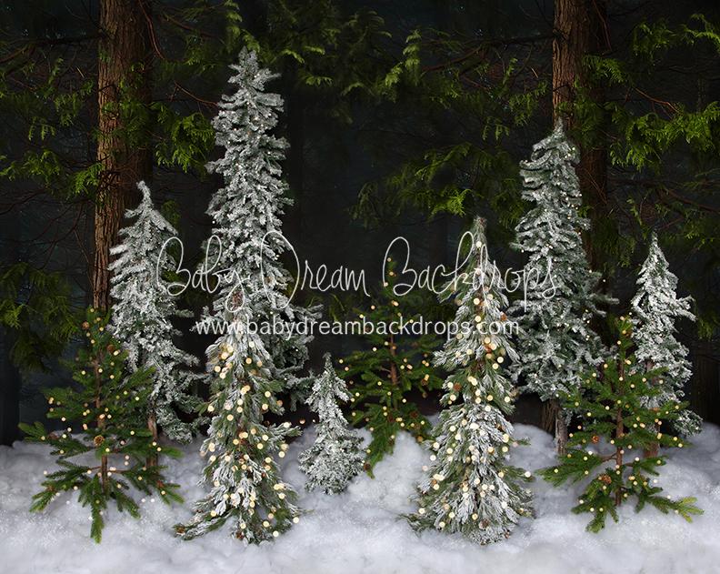 Winter Trees (Lights)