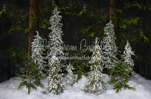 Winter Trees (Lights) 