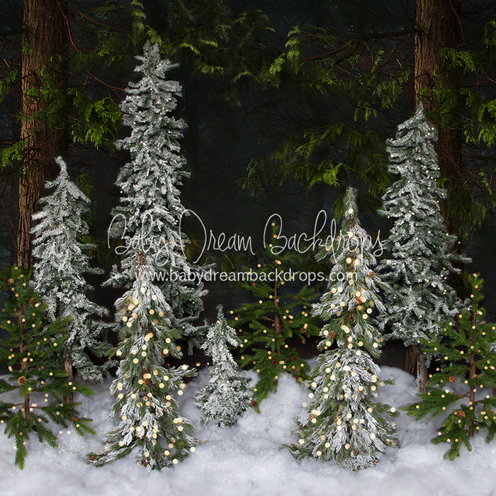 Winter Trees (Lights) 