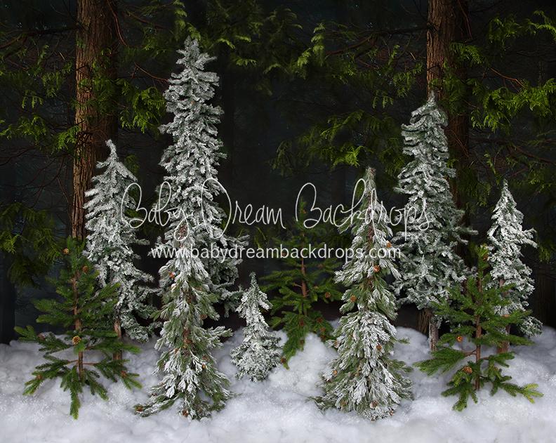 Winter Trees (No Lights)