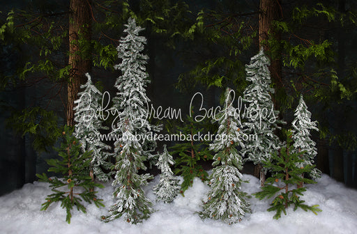 Winter Trees (No Lights) 