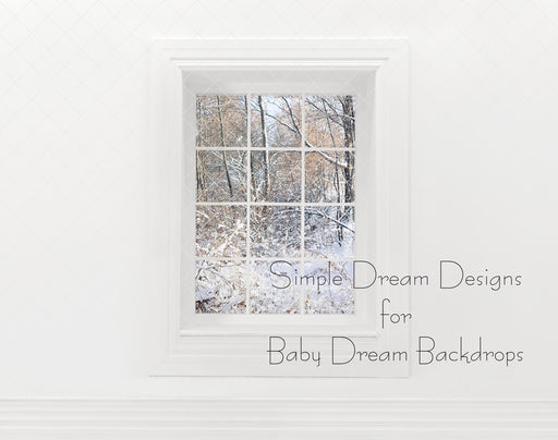 Winter Window Wall