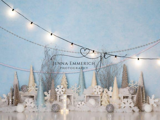 Winter "One"derland Boy