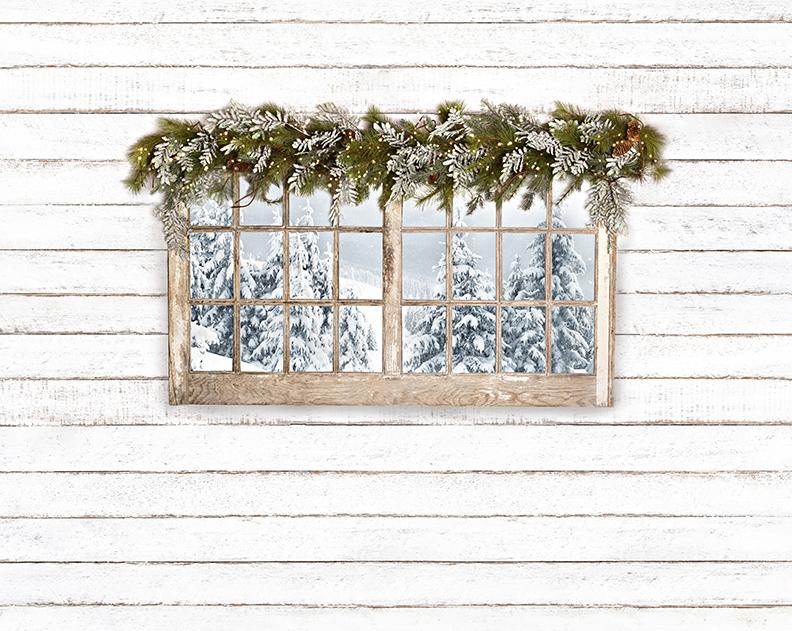 Winter Window