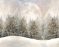 Winter's Beauty - 8x10 