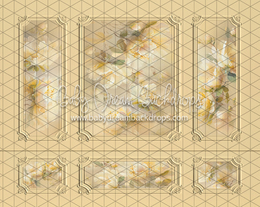 Wish Upon a Wall Sunshine (LL)