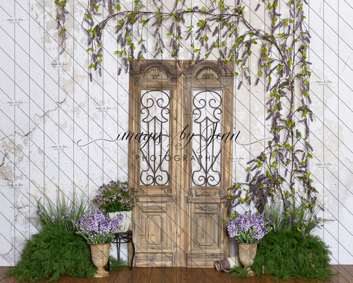 Wisteria Garden Blooms (JG)