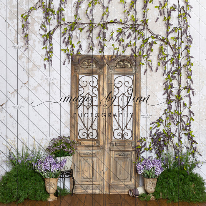 Wisteria Garden Blooms (JG)