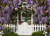 Wisteria Lane (CC)