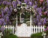 Wisteria Lane (CC)