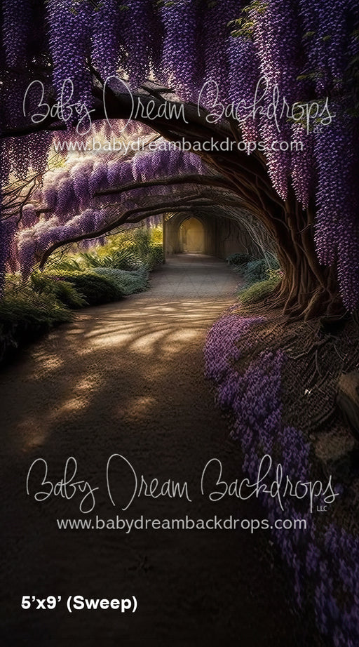Wisteria Path Sweep (SM)