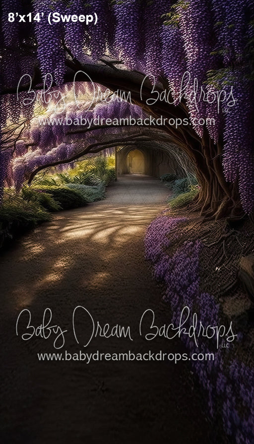Wisteria Path Sweep (SM)