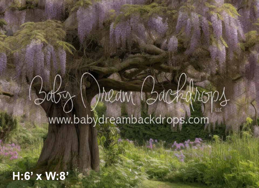 Wisteria Wishes (KS)