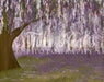Wisteria Woods Meadow 8x10  DW