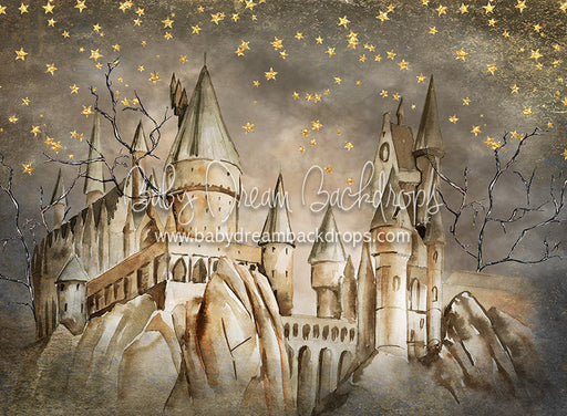 Wizard Academy - 6x8 - CC  