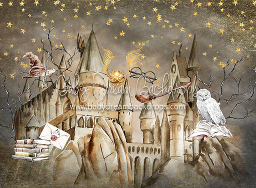 Wizard Academy Too - 6x8 - CC  