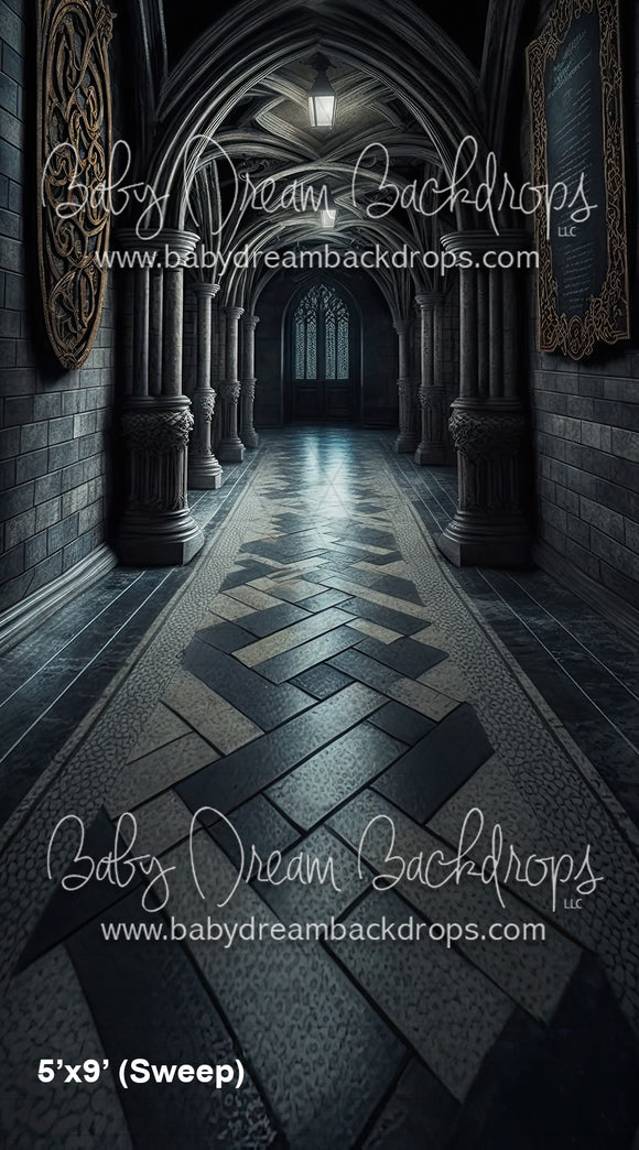 Wizarding School Hallway (SM)