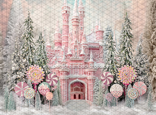 Wonderful Winter Castle (BS)