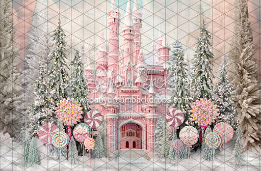Wonderful Winter Castle (BS)