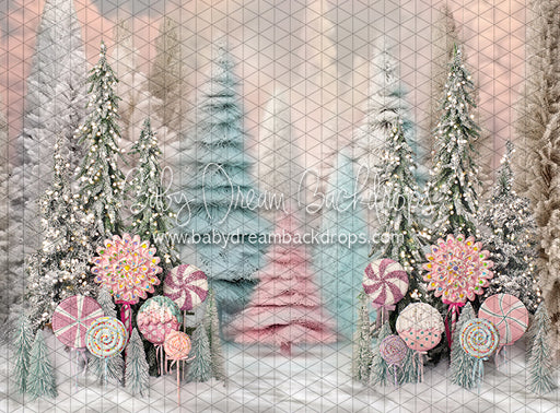 Wonderful Winter Forest (BS)