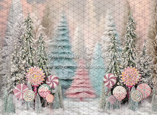 Wonderful Winter Forest (BS)
